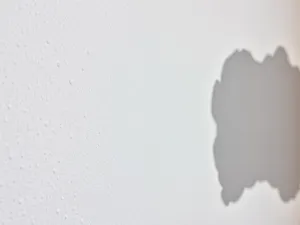 Tynk akrylowy czy silikonowy – który tynk wybrać? Zalety i wady