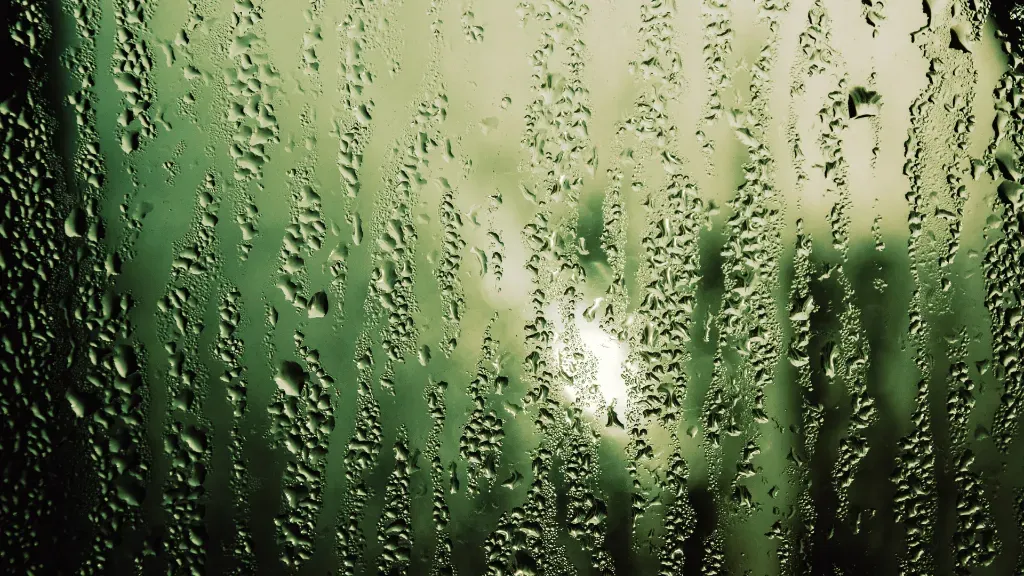 Dlaczego woda z deszczówki śmierdzi i jest zielona? Błędy w filtracji